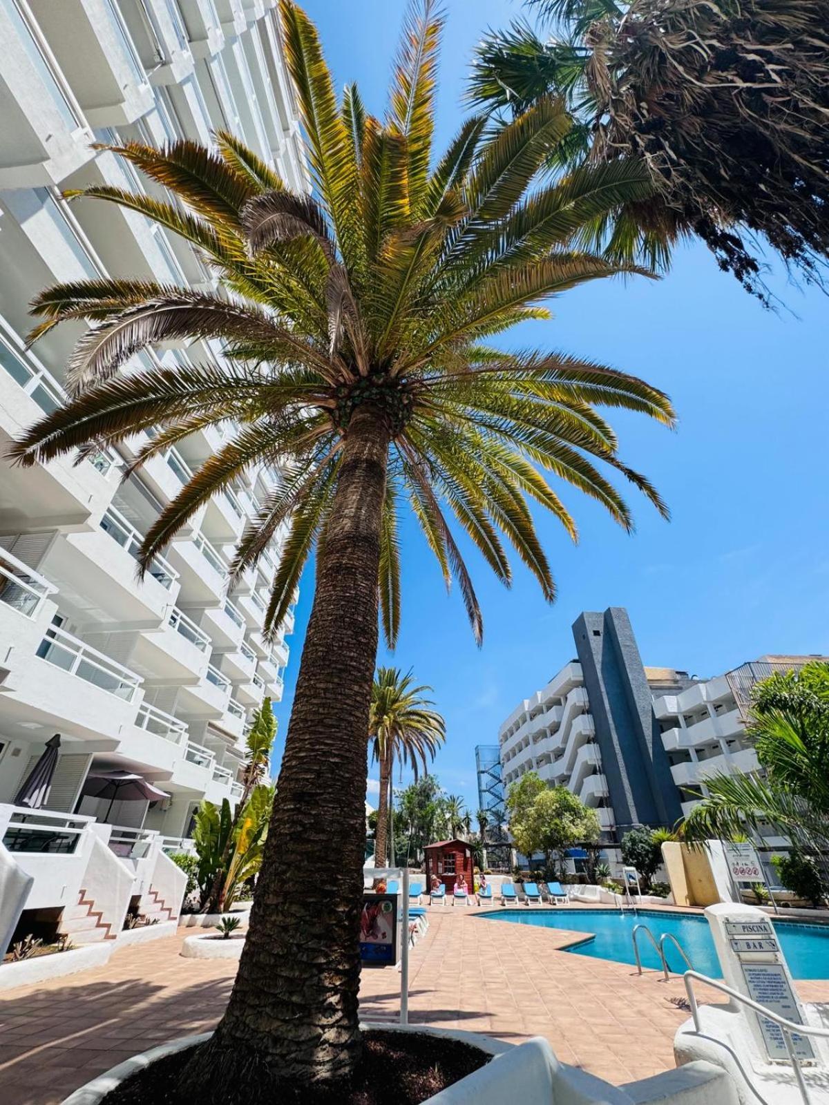 Jameo De Agua, Las Americas Studio Sea View Playa Feñabe Eksteriør bilde