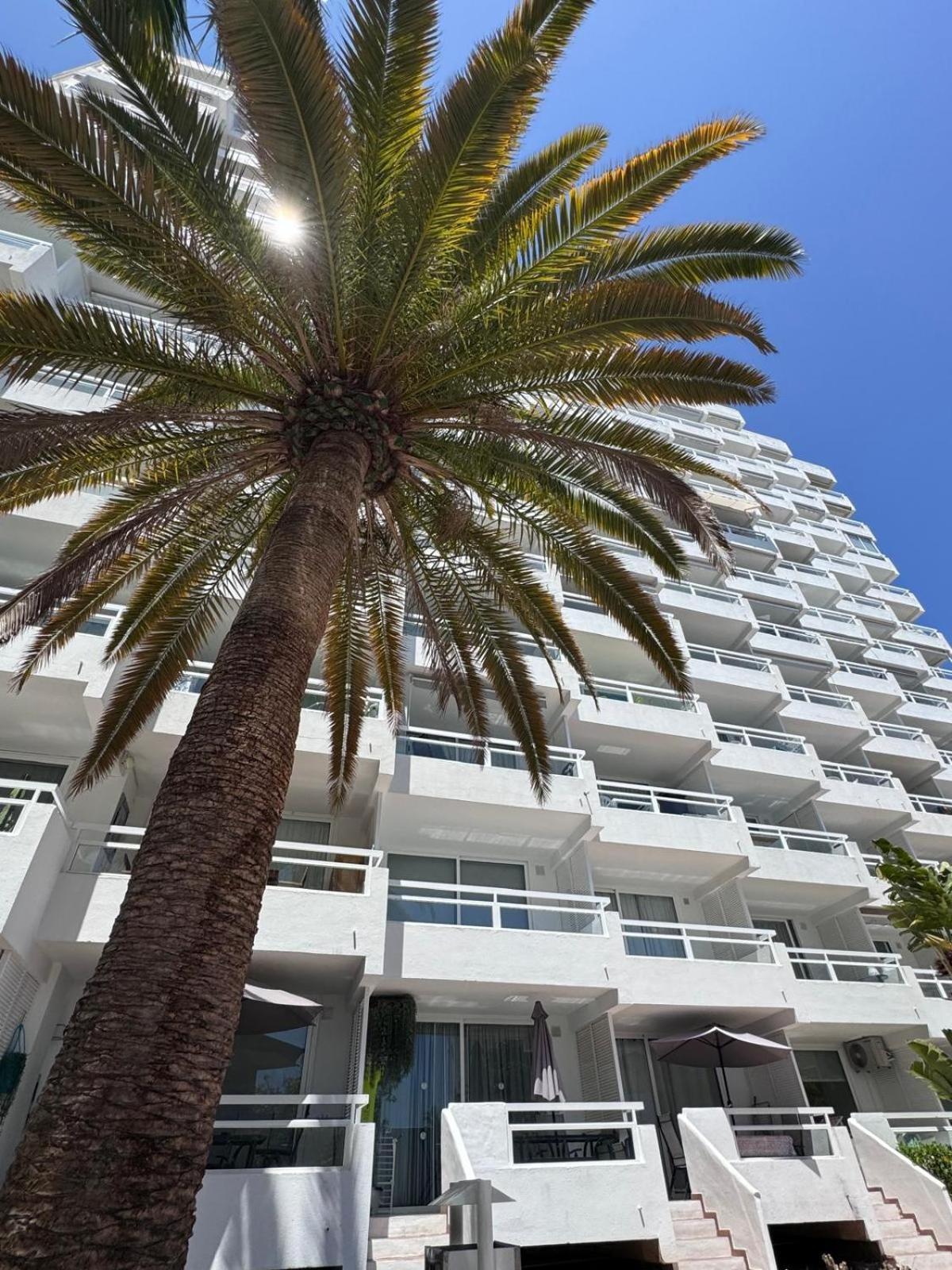 Jameo De Agua, Las Americas Studio Sea View Playa Feñabe Eksteriør bilde